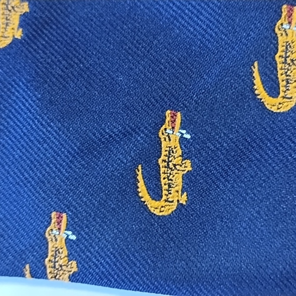 Navy & Orange Alligator Tie - Picture 10 of 10
